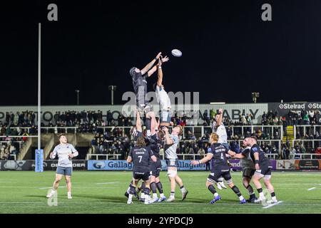 Newcastle upon Tyne, Großbritannien. November 2024. #5, Sebastian de Chaves von Newcastle Falcons und #4, Theo McFarland von Saracens kämpfen am 29. November 2024 im Gallagher Premiership Rugby-Spiel zwischen Newcastle Falcons und Saracens im Kingston Park, Newcastle upon Tyne, Großbritannien. Foto von Stuart Leggett. Nur redaktionelle Verwendung, Lizenz für kommerzielle Nutzung erforderlich. Keine Verwendung bei Wetten, Spielen oder Publikationen eines einzelnen Clubs/einer Liga/eines Spielers. Quelle: UK Sports Pics Ltd/Alamy Live News Stockfoto