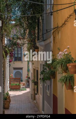 Enge Straße in der Altstadt von Badajoz, mit Pflanzen, Kletterpflanzen, roten Töpfen, Blumen und einer Bar-Terrasse mit Stühlen und einem Tisch in einer Ecke. Spanien Stockfoto