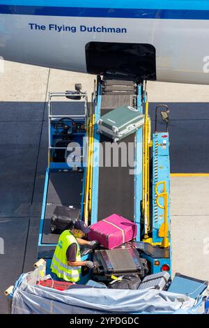 Gepäckabfertiger am Flughafen, der das Gepäck auf einem Förderband zum Flugzeug ablegt. Amsterdam-Schiphol, Niederlande - 9. September 2012 Stockfoto