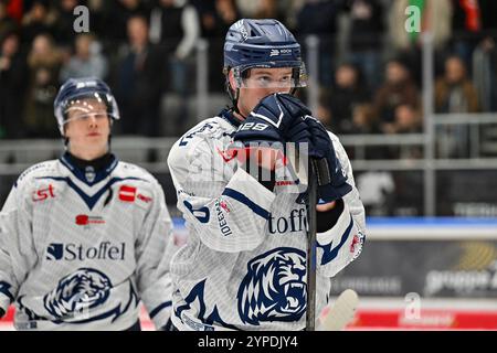 Augsburg, Deutschland. November 2024. ein enttaeuschter Joshua SAMANSKI (Straubing Tigers #8) nach der Niederlage in Augsburg/DEL: Augsburger Panther - Straubing Tigers, Curt Frenzel Stadion am 29.11.2024 Credit: dpa/Alamy Live News Stockfoto