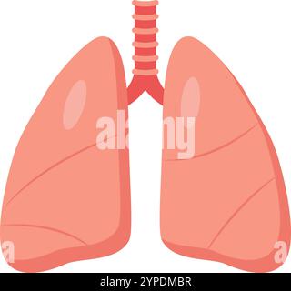 Detaillierte Illustration der menschlichen Lunge und des Atmungssystems, die gesunde Atmung für das Wohlbefinden betont. Zeigt Trachea zu Alveolen, lebenswichtig für eine gute Gesundheit Stock Vektor