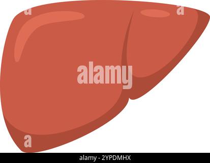 Realistische Illustration einer gesunden menschlichen Leber, Sensibilisierung für Organspende und Betonung der Bedeutung eines gesunden Lebensstils Stock Vektor