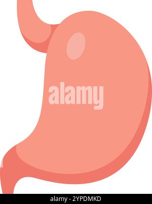 Gesunder Magen fördert gute Verdauung und allgemeines Wohlbefinden, betont die Bedeutung der Magengesundheit für die Aufrechterhaltung eines gesunden Lebensstils Stock Vektor