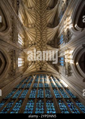 Das große Fenster und die Schiffsdecke, Winchester Cathedral, Winchester, England, GROSSBRITANNIEN, GB. Stockfoto