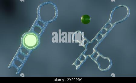 Aptamere sind so konzipiert, dass sie an den Zielanalyten binden. Ein Fluorophor, ein Molekül, das bei Anregung Licht abgibt, ist am Aptamer befestigt; 3D-Rendering Stockfoto