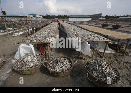 Verarbeitung von Fisch zum Trocknen in Nazirartek Dry Fish Plant in Cox;s Bazar, Bangladesch Stockfoto