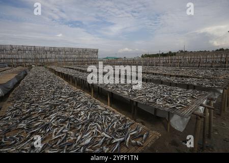 Verarbeitung von Fisch zum Trocknen in Nazirartek Dry Fish Plant in Cox;s Bazar, Bangladesch Stockfoto