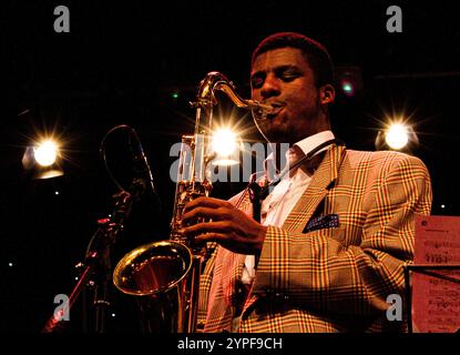 Seven Steps to Heaven Band beim Herts Jazz Festival Stockfoto