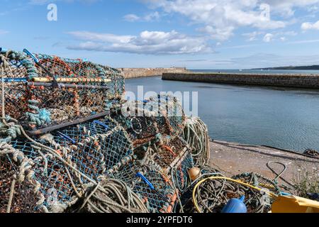Hummertöpfe an der Wand von St Andrews Harbour, St Andrews, Fife, Schottland Stockfoto