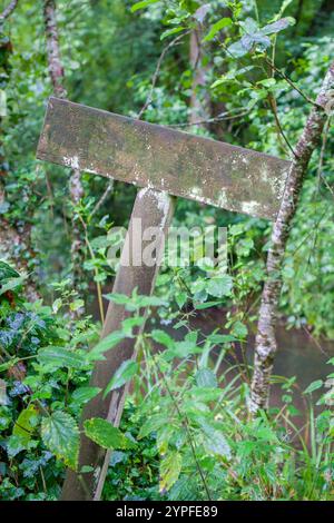 Hölzerne Schilderstange tief im Wald, bedeckt mit Flechten. Leerer Platz an Bord Stockfoto