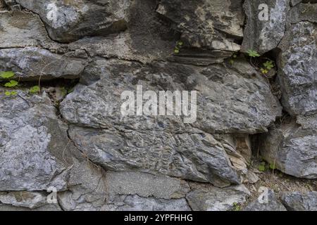 Nahaufnahme einer strukturierten dunkelgrauen Steinwandoberfläche in Rissen und Spänen Stockfoto