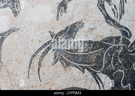 Ostia Antica war eine antike römische Stadt und der Hafen von Rom an der Tibermündung. Es ist bekannt für die hervorragende Erhaltung seiner Annies Stockfoto