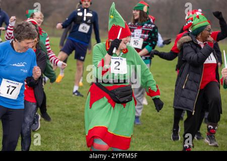 Brentwood Essex 30. November 2024 festlicher Mental 'Elf Fun Run zur Unterstützung der Mental Health Charity Mind; im Weald Park, Brentwood Essex Credit: Ian Davidson/Alamy Live News Stockfoto