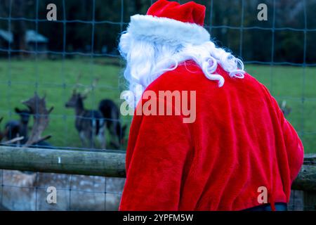 Brentwood Essex 30. November 2024 festlicher Mental 'Elf Fun Run zur Unterstützung der Mental Health Charity Mind; im Weald Park, Brentwood Essex Credit: Ian Davidson/Alamy Live News Stockfoto