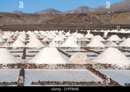 Salz wird in der alten historischen Salzlösung in Janubio, Lanzarote, Spanien, hergestellt Stockfoto