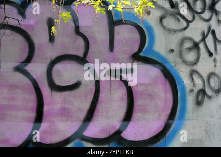 Graffiti-Wort SKGK, gezeichnet von einem Lapdog in rosa, blauen, schwarzen Buchstaben mit einer fanny-Form. Das grafische Design ist chaotisch, wenn eine Farbe gewaschen werden kann. Stockfoto