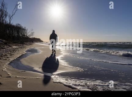 Europa Deutschland Mecklenburg Vorpommern: Einzelner Spaziergänger im Gegenlicht am Ostseestrand des Darß auf der Halbinsel Fischland/Darß/Zingst *** Stockfoto