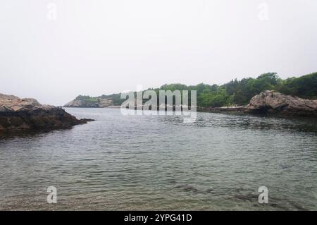 Die nebelige Küste im Fort Wetherill State Park in Jamestown, Rhode Island. Stockfoto