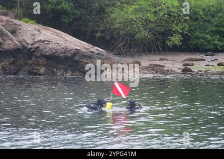 Die nebelige Küste und der Tauchplatz im Fort Wetherill State Park in Jamestown Rhode Island. Stockfoto