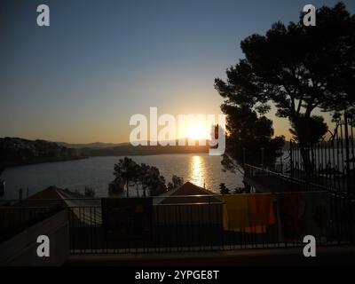 Ein atemberaubender Sonnenuntergang färbt den Himmel in warmen Farbtönen, während die Sonne unter dem Horizont abtaucht und sich auf dem ruhigen Wasser reflektiert. Bäume Silhouette vor dem orangefarbenen Himmel Stockfoto