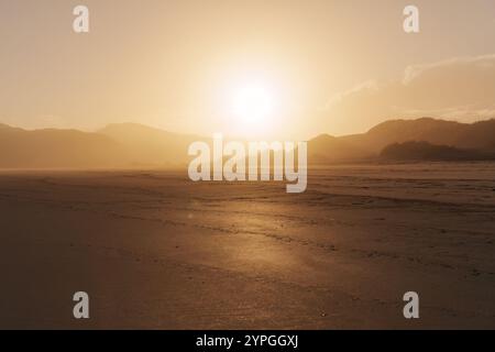 Wunderschöner goldener Sonnenaufgang über der Sanddüne am Wharariki Beach an der Westküste von Cape Farewell, Neuseeland Stockfoto