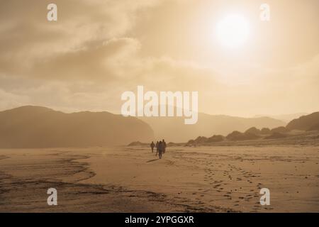 Wunderschöner goldener Sonnenaufgang über Touristen, die auf Sanddünen am Wharariki Beach an der Westküste von Cape Farewell, Neuseeland, spazieren gehen Stockfoto