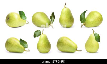 Frische, rohe Birnen isoliert auf weiß, Set Stockfoto