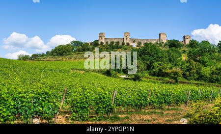 Monteriggioni mittelalterliches befestigtes Dorf und Weinberge, Route der Via francigena. Provinz Siena, Toskana, Italien, Europa. Stockfoto