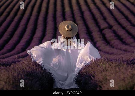 Lavendelfelder Provence Frau; Sonnenuntergang Porträt: Frau in weißem Kleid und Hut bewundert das malerische französische Lavendelfeld während der goldenen Stunde. Stockfoto