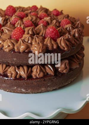 Schokolade und Himbeerkuchen Stockfoto