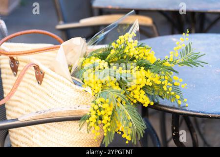 Leuchtend gelbe Mimosen im Strohbeutel auf Metall-Café-Stuhl im Freien Stockfoto