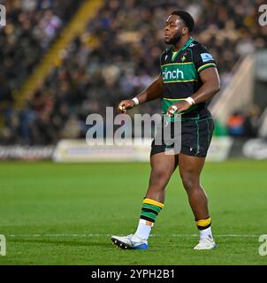 Northampton, Großbritannien. November 2024 30. Emmanuel Iyogun of Northampton während des Spiels zwischen Northampton Saints und Gloucester Rugby im Cinch Stadium Franklin's Gardens. Northampton Großbritannien. Quelle: PATRICK ANTHONISZ/Alamy Live News Stockfoto