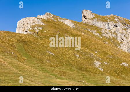 Italien, Seceda Nahaufnahme herbstlicher Bergblick, Fuß der Geiselgruppe, Gröden in der Nähe der Stadt St. Ulrich Stockfoto