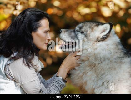 Porträt einer jungen weißen Frau mit einem Alaska Malamute Hund im Wald vor dem Hintergrund der Natur Stockfoto