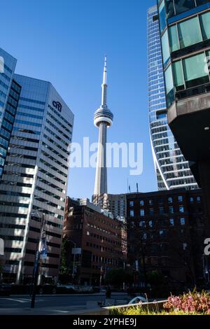 CN Tower auf dem Brenner Boulevard in der Innenstadt von Toronto, Ontario, Kanada Stockfoto