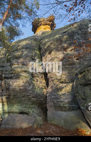 Felsformation von unten gesehen im Herbstwald mit Sonnenlicht und blauem Himmel, Felsformation Kokorinske poklicky, Kokorinsky dul Naturschutzgebiet, Sand Stockfoto