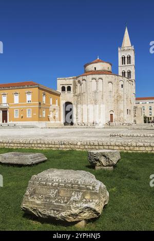 Architektonische Überreste in den Ruinen des römischen Forums mit der Kirche des Heiligen Donatus und dem Glockenturm der Kathedrale von Zadar, Zadar, Kroatien, Europa Stockfoto