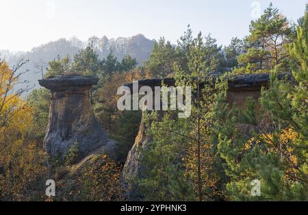 Drei markante Felsen im Abendlicht, umgeben von Wald und hügeliger Landschaft im Herbst, Felsformation Kokorinske poklicky, Kokorinsky dul na Stockfoto