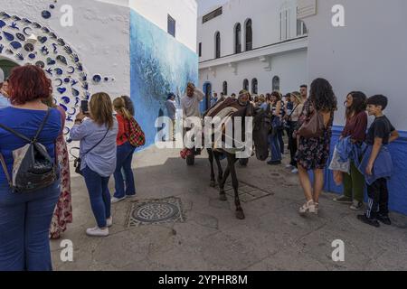 Pferdekutsche unter Touristenströmen, Asilah, marokko Stockfoto