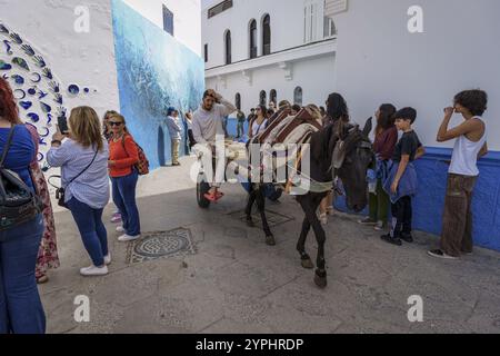 Pferdekutsche unter Touristenströmen, Asilah, marokko Stockfoto