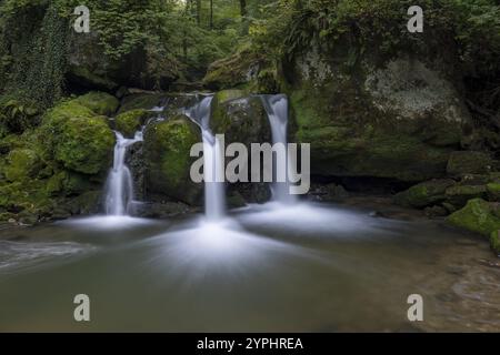 Kaskadenteich, Wasserfall unter einer kleinen Fußgängerbrücke, Müllerthal Trail, Waldbillig, Luxemburg, Europa Stockfoto