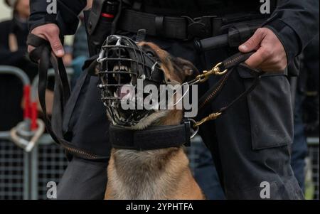 20241130 Demo Macht euch bereit WIEN, OESTERREICH - 30. NOVEMBER: Polizei mit Polizeihund bei der von der Polizei untersagte Gross-Demonstration bzw. Standkundgebung unter dem MOTTO -für unser Oesterreich - Nein zur Zuckerl-Koalition- und -für Frieden und Neutralitaet- als Reaktion unter anderem auf die juengsten politischen Ereignisse am Wiener Heldenplatz am 30. November 2024 in Wien, Oesterreich. 241130 SEPA 17 098 Copyright: XIsabellexOuvrardx SEPAxMedia Stockfoto