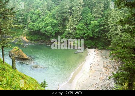 Arial Blick auf den kleinen geschützten Strand in Deadman's Cove, versteckt in einem dichten Kiefernwald an einem bewölkten Tag. Stockfoto