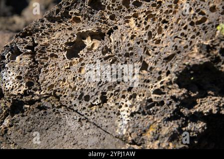 Nahaufnahme von Lavagestein, durchdrungen mit Luftblasen. Stockfoto