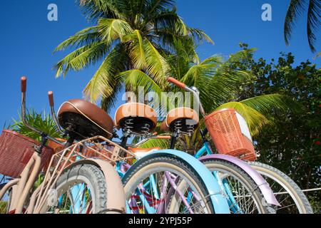 Eine Reihe farbenfroher Fahrräder parkt in der Nähe eines tropischen Strandes. Im Hintergrund stehen Palmen vor dem blauen Himmel. Konzept der Freizeit und Entspannung Stockfoto