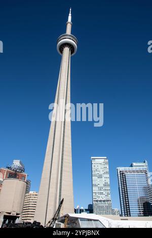 Blick auf den CN Tower auf dem Brenner Boulevard in der Innenstadt von Toronto, Ontario, Kanada Stockfoto