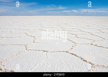 Weitläufiger Blick auf die unberührten weißen Salzebenen des Salar de Uyuni unter einem hellblauen Himmel, Bolivien, mit der größten Salzwüste der Welt. Stockfoto