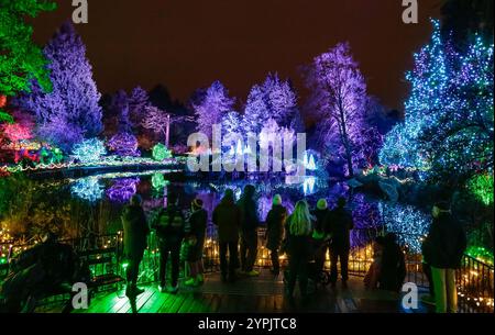 Peking, Kanada. November 2024. Die Menschen genießen Lichtinstallationen für das jährliche Festival of Lights im VanDusen Botanical Garden in Vancouver, British Columbia, Kanada, 29. November 2024. Quelle: Liang Sen/Xinhua/Alamy Live News Stockfoto