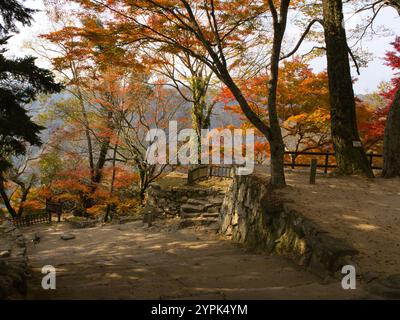 Herbstlaub auf Bitchu Matsuyama Castle in der Präfektur Okayama, Japan Stockfoto