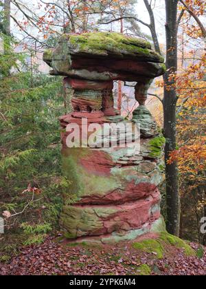 Aus DER VOGELPERSPEKTIVE von einem 6-Meter-Hubgerüst. Interessante Felsformation auf dem Kleinen Hundskopf in den Vogesen. Sturzelbronn, Grand Est, Frankreich. Stockfoto